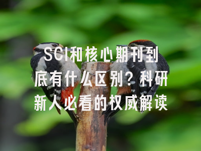 SCI和核心期刊到底有什么区别？科研新人必看的权威解读