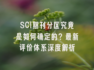 SCI期刊分区究竟是如何确定的？最新评价体系深度解析