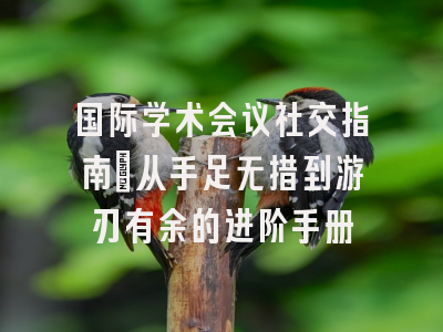 国际学术会议社交指南：从手足无措到游刃有余的进阶手册