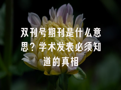 双刊号期刊是什么意思？学术发表必须知道的真相