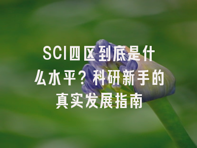 SCI四区到底是什么水平？科研新手的真实发展指南