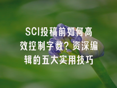 SCI投稿前如何高效控制字数？资深编辑的五大实用技巧