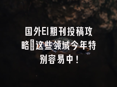 国外EI期刊投稿攻略：这些领域今年特别容易中！
