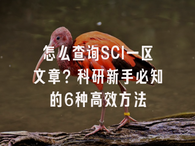 怎么查询SCI一区文章？科研新手必知的6种高效方法