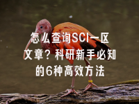 学术会议在线