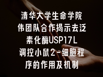 清华大学生命学院颉伟团队合作揭示去泛素化酶USP17L调控小鼠2-细胞程序的作用及机制