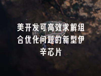 美开发可高效求解组合优化问题的新型伊辛芯片