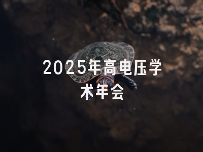 2025年高电压学术年会
