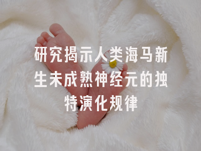 研究揭示人类海马新生未成熟神经元的独特演化规律