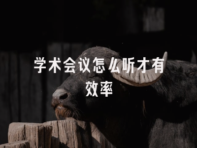 学术会议怎么听才有效率