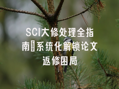 SCI大修处理全指南：系统化解锁论文返修困局