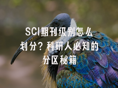 SCI期刊级别怎么划分？科研人必知的分区秘籍