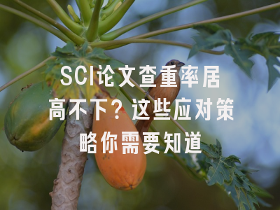 SCI论文查重率居高不下？这些应对策略你需要知道