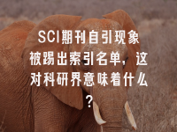学术会议在线