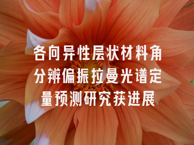 各向异性层状材料角分辨偏振拉曼光谱定量预测研究获进展