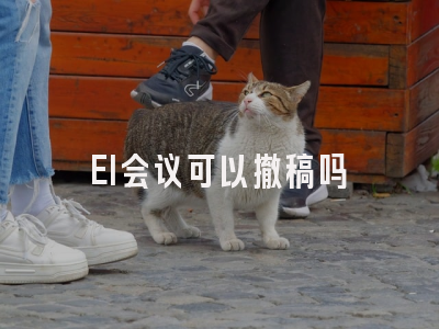 EI会议可以撤稿吗