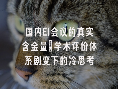 国内EI会议的真实含金量：学术评价体系剧变下的冷思考