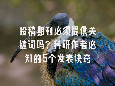 投稿期刊必须提供关键词吗？科研作者必知的5个发表诀窍