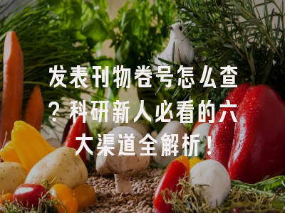 发表刊物卷号怎么查？科研新人必看的六大渠道全解析！
