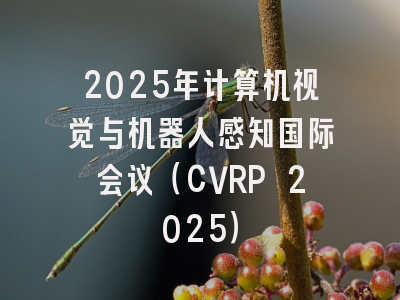 2025年计算机视觉与机器人感知国际会议（CVRP 2025）