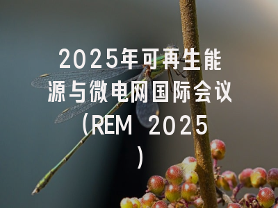 2025年可再生能源与微电网国际会议（REM 2025）