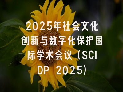 2025年社会文化创新与数字化保护国际学术会议（SCIDP 2025）