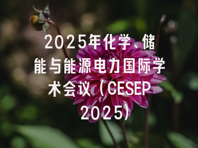 2025年化学、储能与能源电力国际学术会议（CESEP 2025）