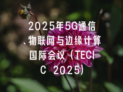 2025年5G通信、物联网与边缘计算国际会议（TECIC 2025）