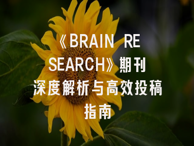 《BRAIN RESEARCH》期刊深度解析与高效投稿指南
