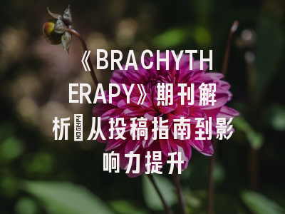 《BRACHYTHERAPY》期刊解析：从投稿指南到影响力提升