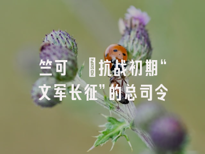 竺可桢：抗战初期“文军长征”的总司令