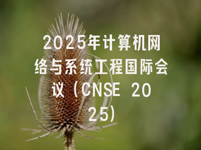 2025年计算机网络与系统工程国际会议（CNSE 2025）