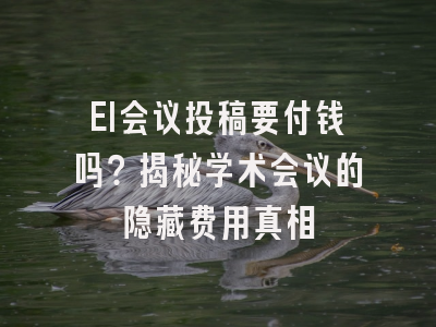 EI会议投稿要付钱吗？揭秘学术会议的隐藏费用真相