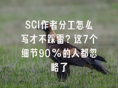 SCI作者分工怎么写才不踩雷？这7个细节90%的人都忽略了