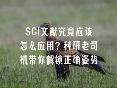SCI文献究竟应该怎么应用？科研老司机带你解锁正确姿势