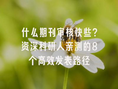 什么期刊审核快些？资深科研人亲测的8个高效发表路径