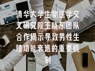 清华大学生物医学交叉研究院王晓东团队合作揭示导致男性生殖功能衰退的重要机制