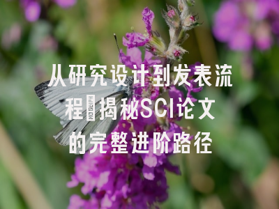 从研究设计到发表流程：揭秘SCI论文的完整进阶路径