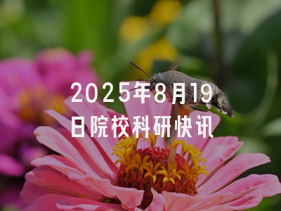 2025年8月19日院校科研快讯