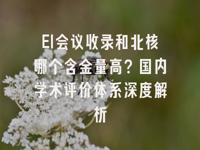 EI会议收录和北核哪个含金量高？国内学术评价体系深度解析