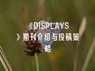 《DISPLAYS》期刊介绍与投稿策略