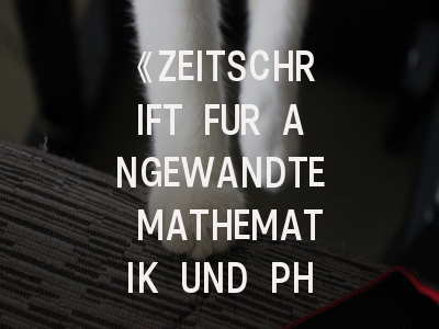 《ZEITSCHRIFT FUR ANGEWANDTE MATHEMATIK UND PHYSIK》期刊介绍与投稿策略