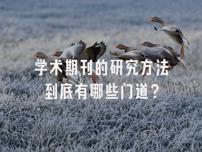 学术期刊的研究方法到底有哪些门道？