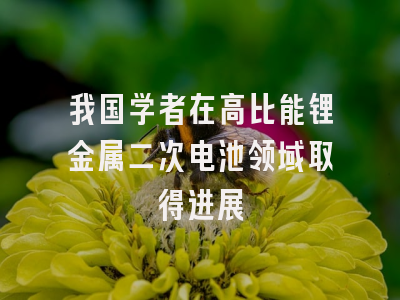 我国学者在高比能锂金属二次电池领域取得进展