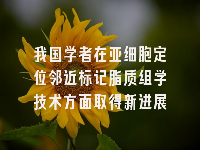 我国学者在亚细胞定位邻近标记脂质组学技术方面取得新进展