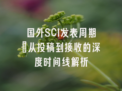国外SCI发表周期：从投稿到接收的深度时间线解析