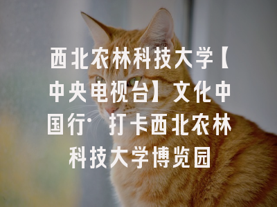 西北农林科技大学【中央电视台】文化中国行·打卡西北农林科技大学博览园