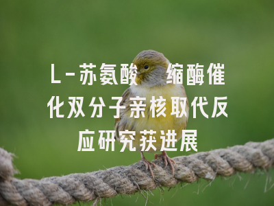 L-苏氨酸醛缩酶催化双分子亲核取代反应研究获进展