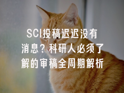 SCI投稿迟迟没有消息？科研人必须了解的审稿全周期解析