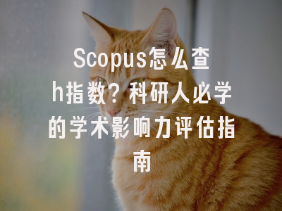 Scopus怎么查h指数？科研人必学的学术影响力评估指南